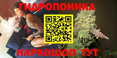 соль курить ск Ачхой-Мартан