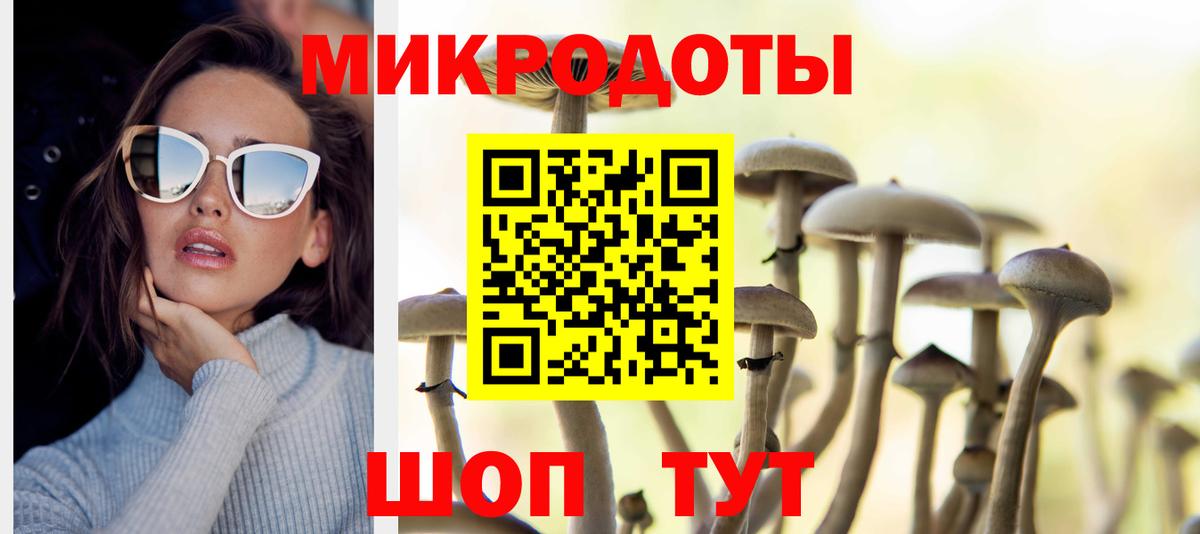 Борзя  Галлюциногенные грибы прущие грибы  хочу наркоту  Вход с VPN 